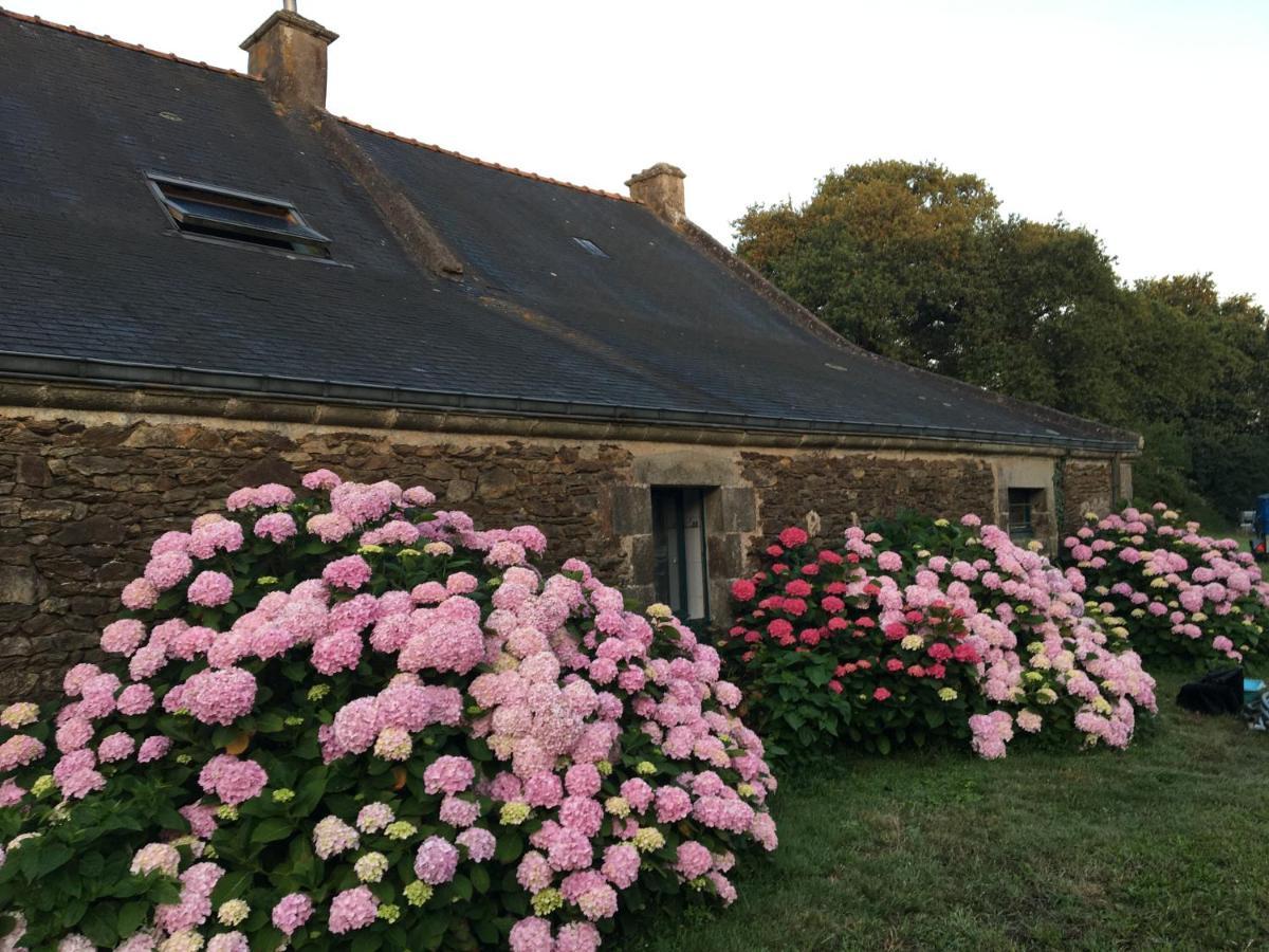アンボン Domaine Du Lesty Bed & Breakfast エクステリア 写真