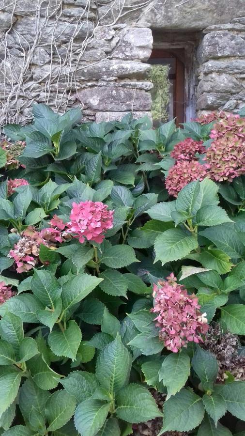 アンボン Domaine Du Lesty Bed & Breakfast エクステリア 写真